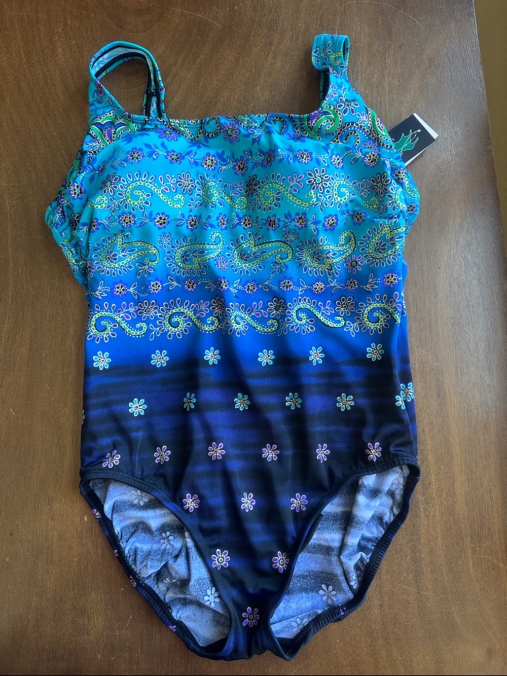 Longitude Teal & Blue Paisley Gradient One-Piece Swimsuit